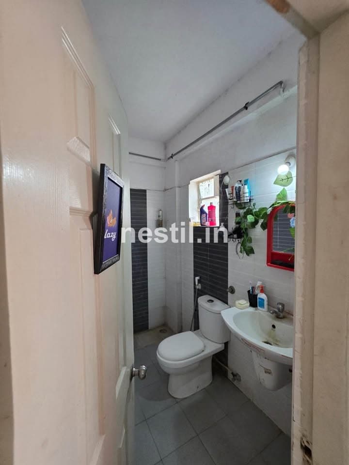 Looking for Male Flatmate in 3BHK - 4