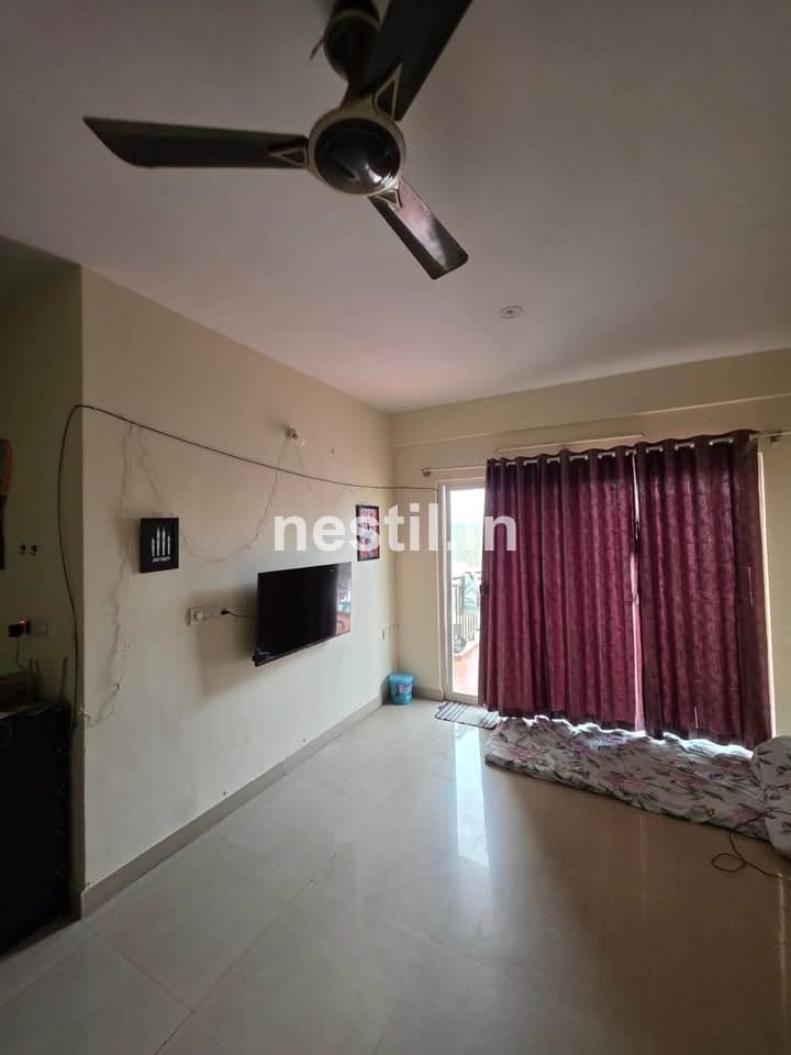 Looking for Male Flatmate in 3BHK - 6